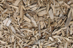 biomass boilers Waulkmills